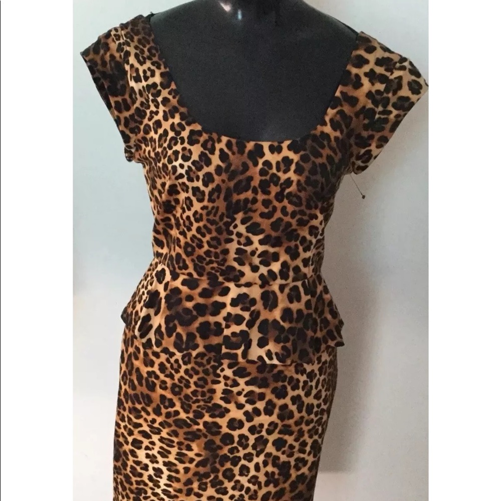 Beautiful NWOT Leopard print ZARA dress Size M